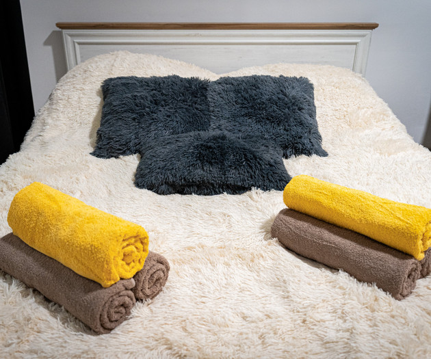 Premium Lion Suite | Grand Vinohrady Home