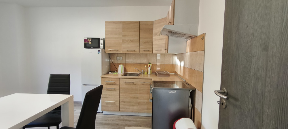 Apartment in a family house with a view of the NP preview