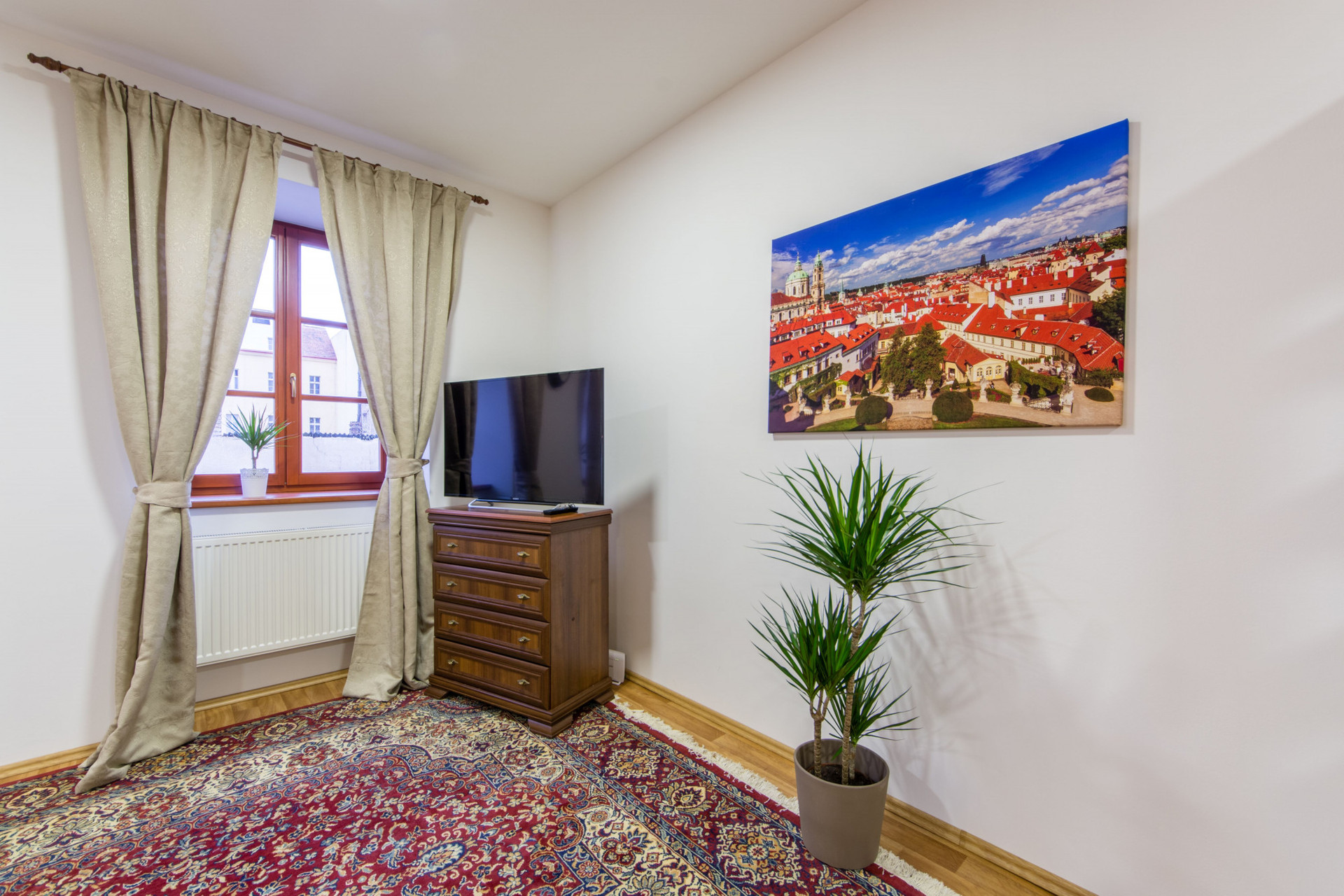 A big carpet in the living room
