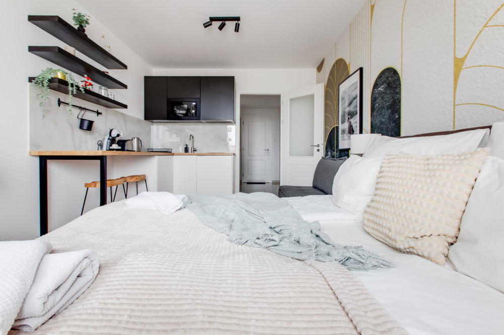 Studio Apartment City Center near Charles Square preview