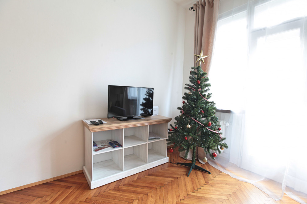 One bedroom apartment, Krakovska, Nove Mesto