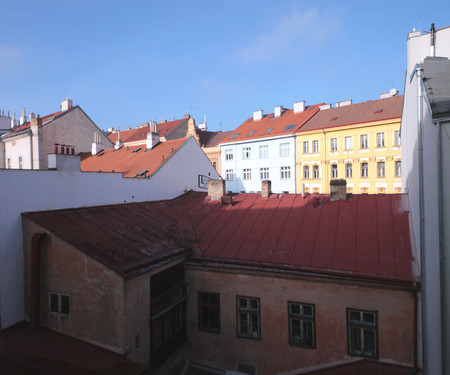 Room in spacious apartment in Letná