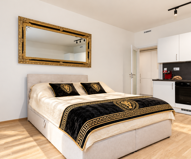 Amplo apartamento central | Luxo em Praga
