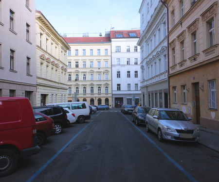 Room in spacious apartment in Letná