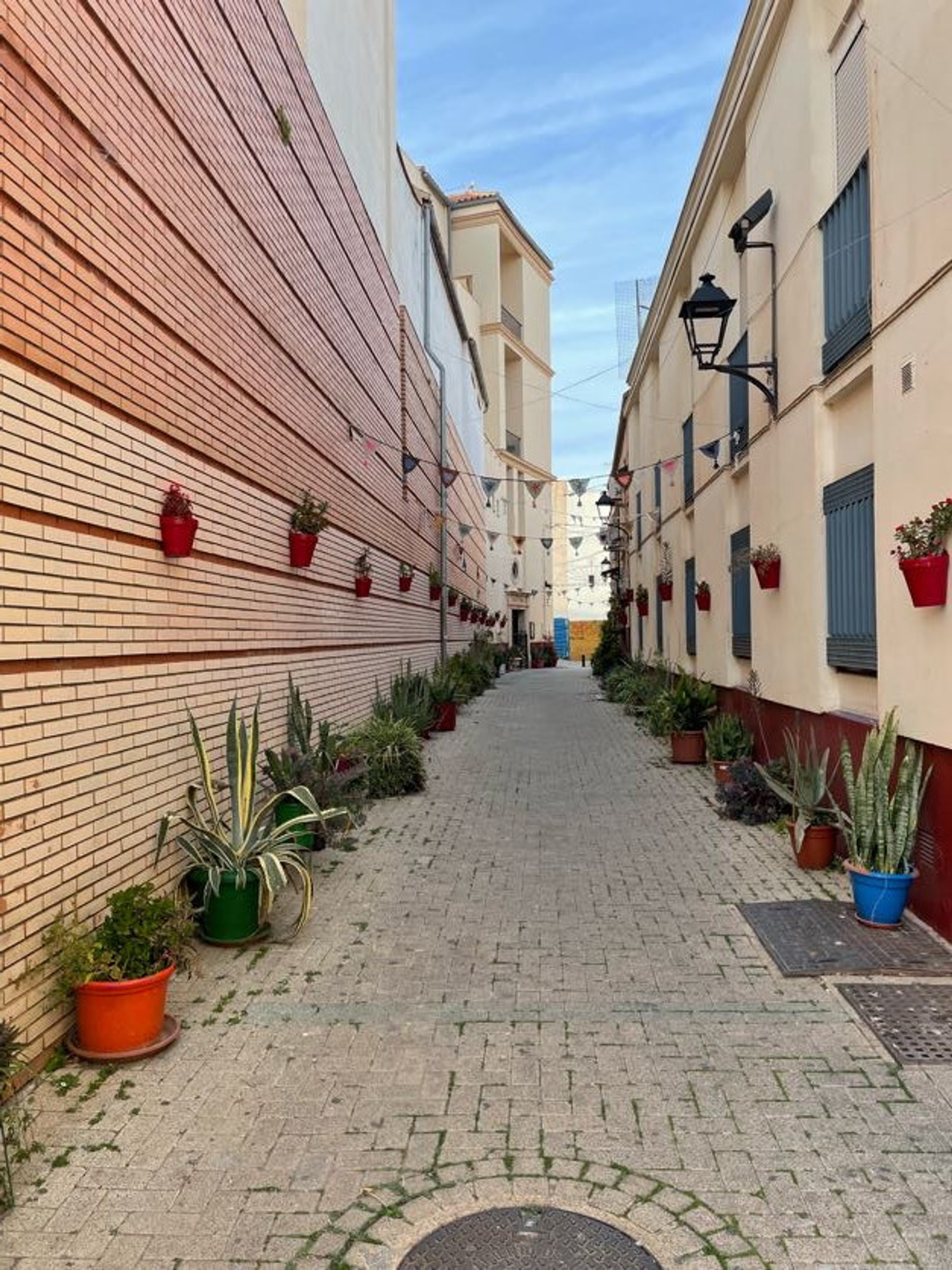 Neighborhood-parallel street