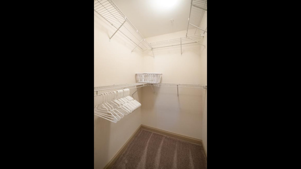 Image #14