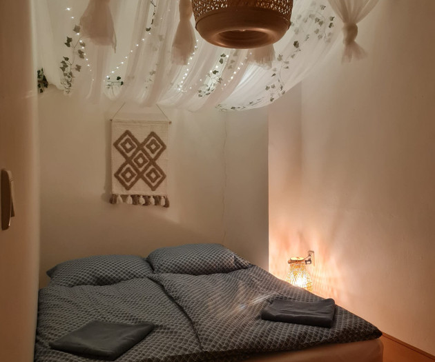 Cozy bedroom with canopy
