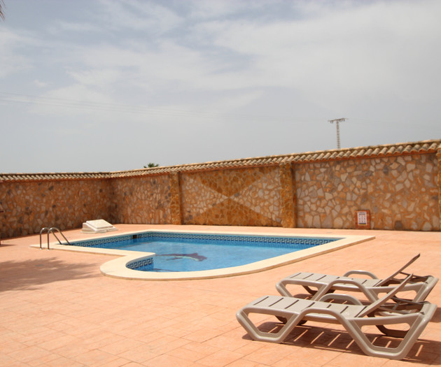 Curved pool with loungers