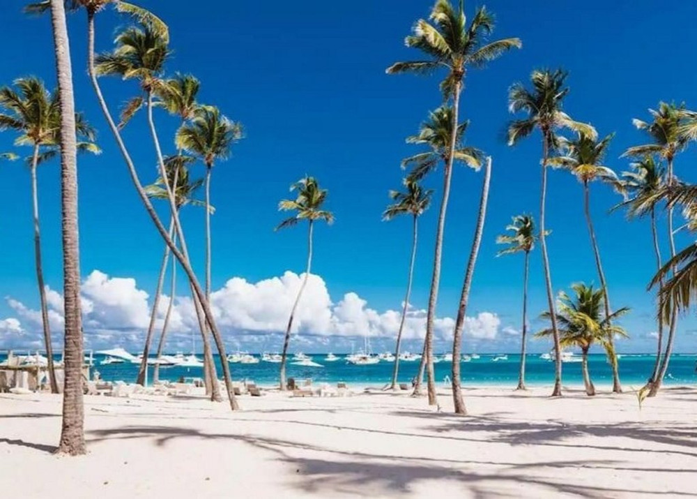 New apartment on the beach in Bavaro, Punta Cana preview