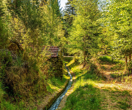 Charming house in the middle of nature