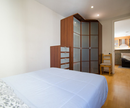 Renovated Apartment, in front of Sagrada Familia