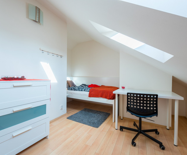 ROOF APARTMENT with TERRACE near WENCESLAS Sq.