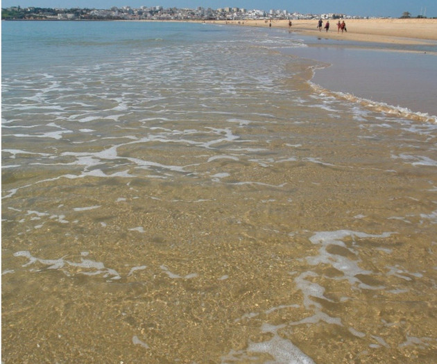 Dunas da Meia Praia Terrace Apartment