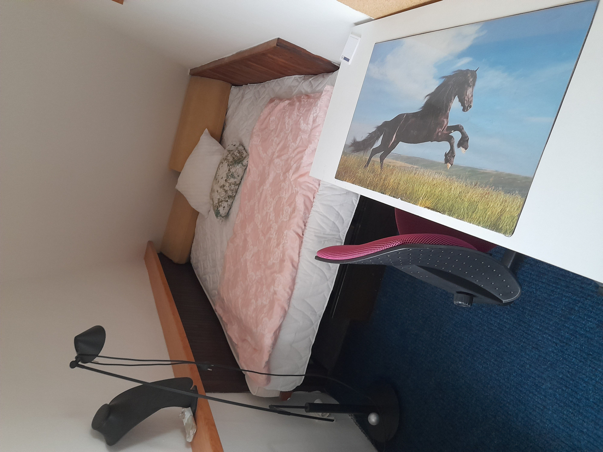 Bedroom with bed and desk