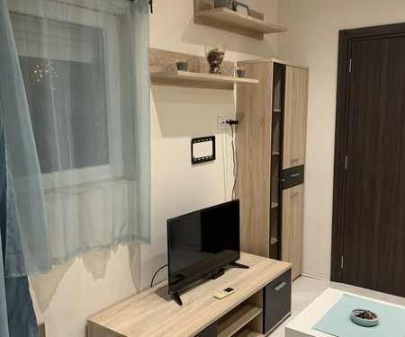 Apartman Visokog Stevana