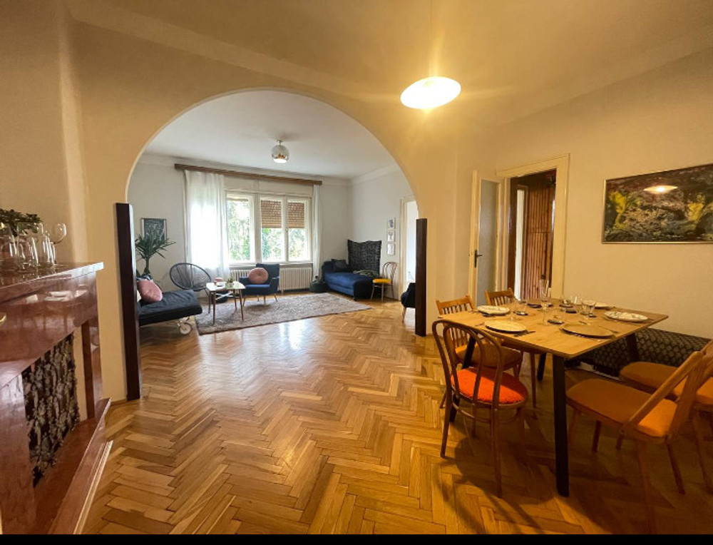 Calm Large Beautiful flat in Budapest preview