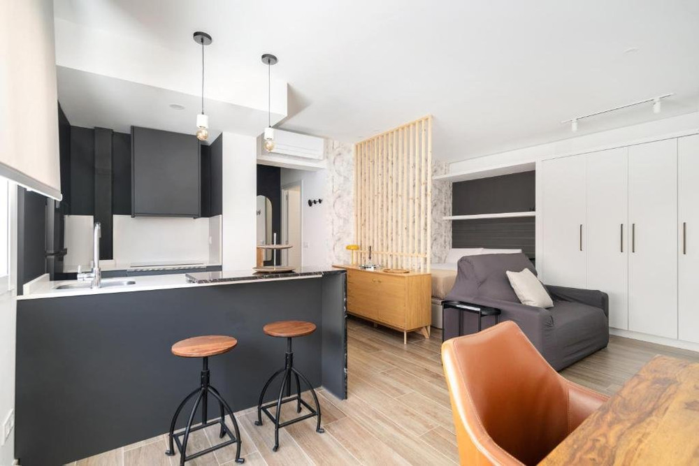 SEASONAL RENTAL IN MADRID CITY CENTER CONDE DUQUE preview