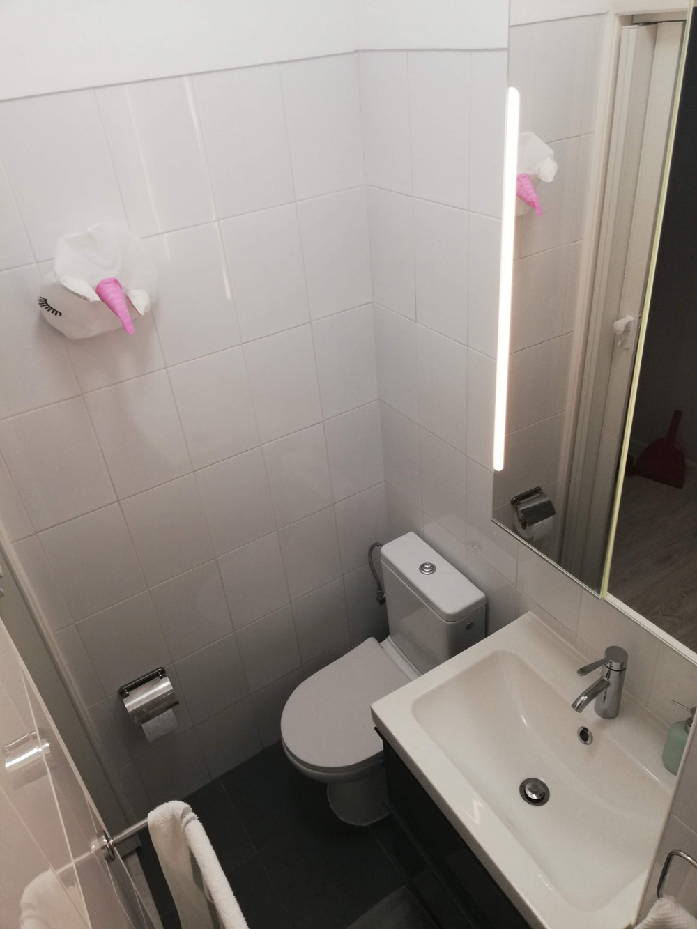 Sunny Double Room in 5 room flat