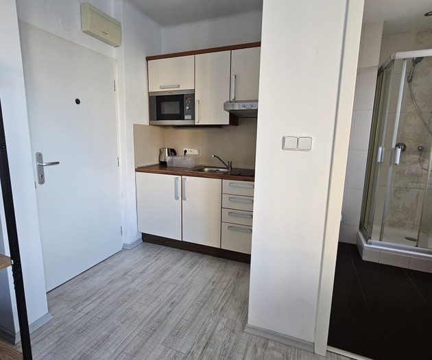 Byt 1kk zastávka Italská, Vinohrady