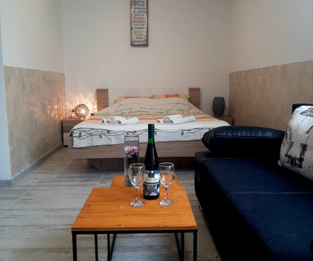 Apartman Ilino