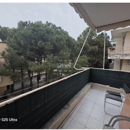 Landlords profile photo