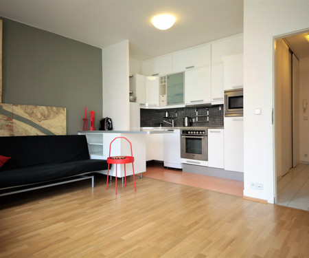 Apartamento para arrendar  - Prague 5 - Jinonice