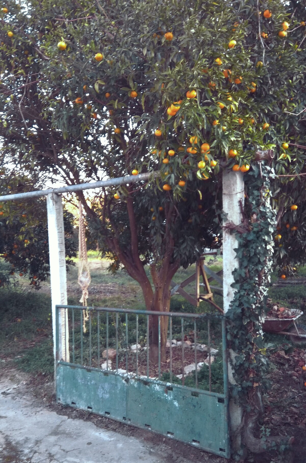 Typical Portuguese house preview