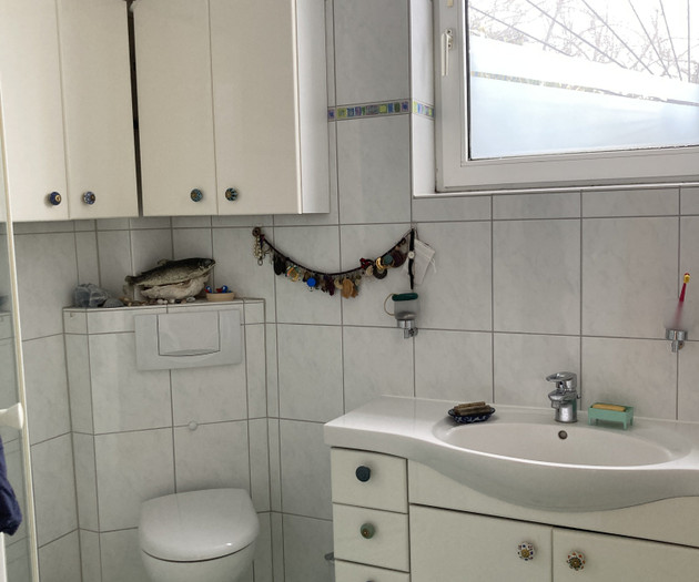 House with garden 30 minutes from the city center