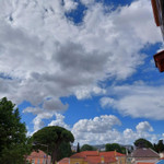 Landlords profile photo