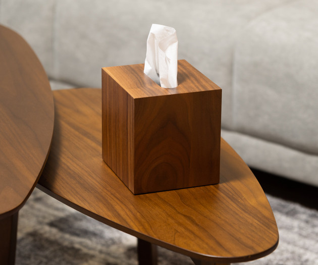 Tissue box on side table