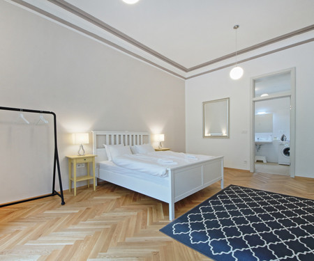 Luxury Apartment in Vinohrady-Available