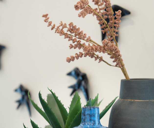 Decorative vases and plant