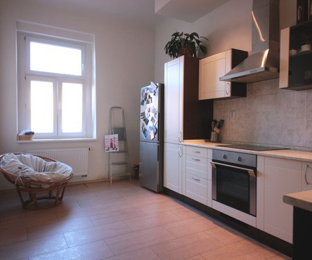 Room in spacious apartment in Letná