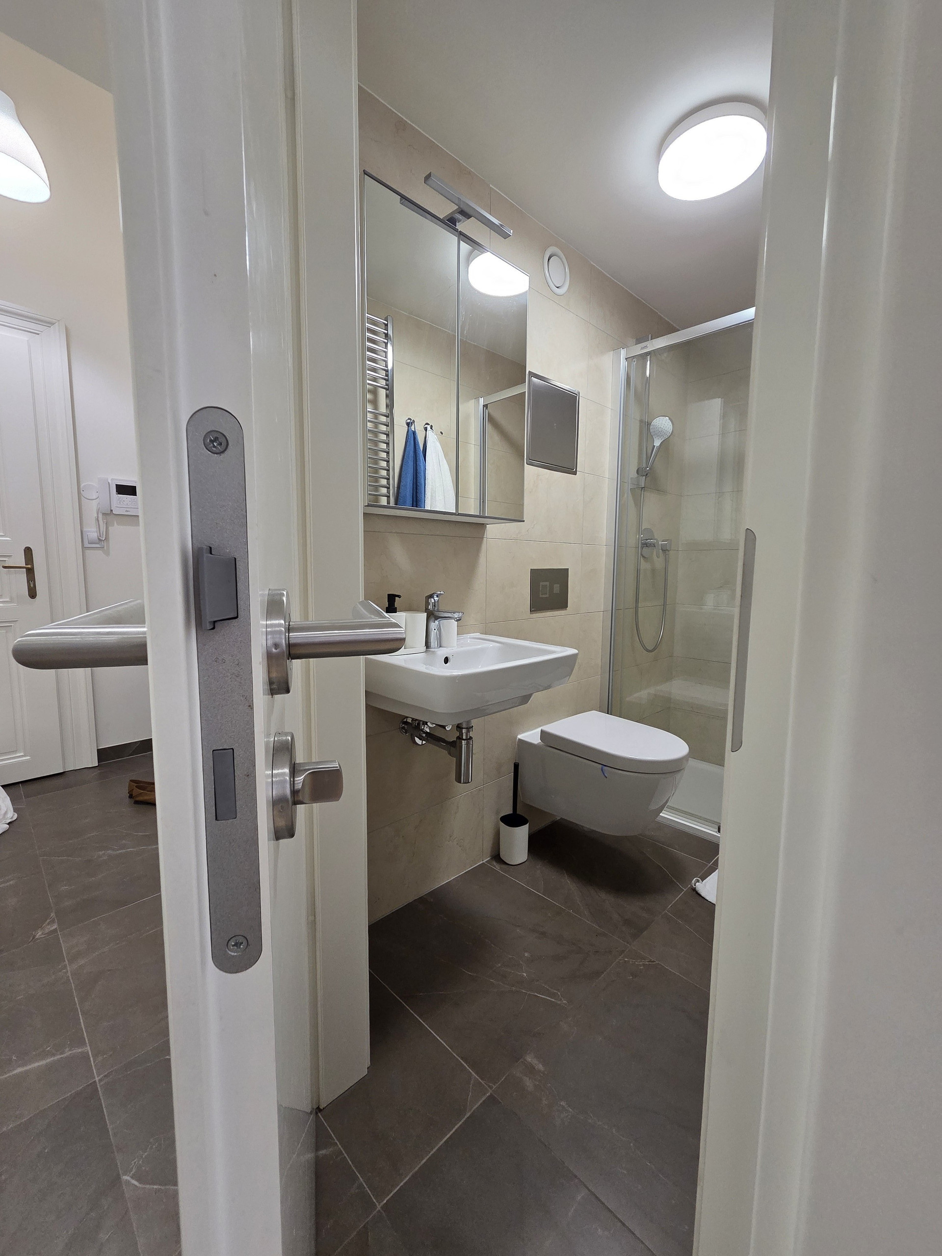 Modern bathroom with shower and toilet