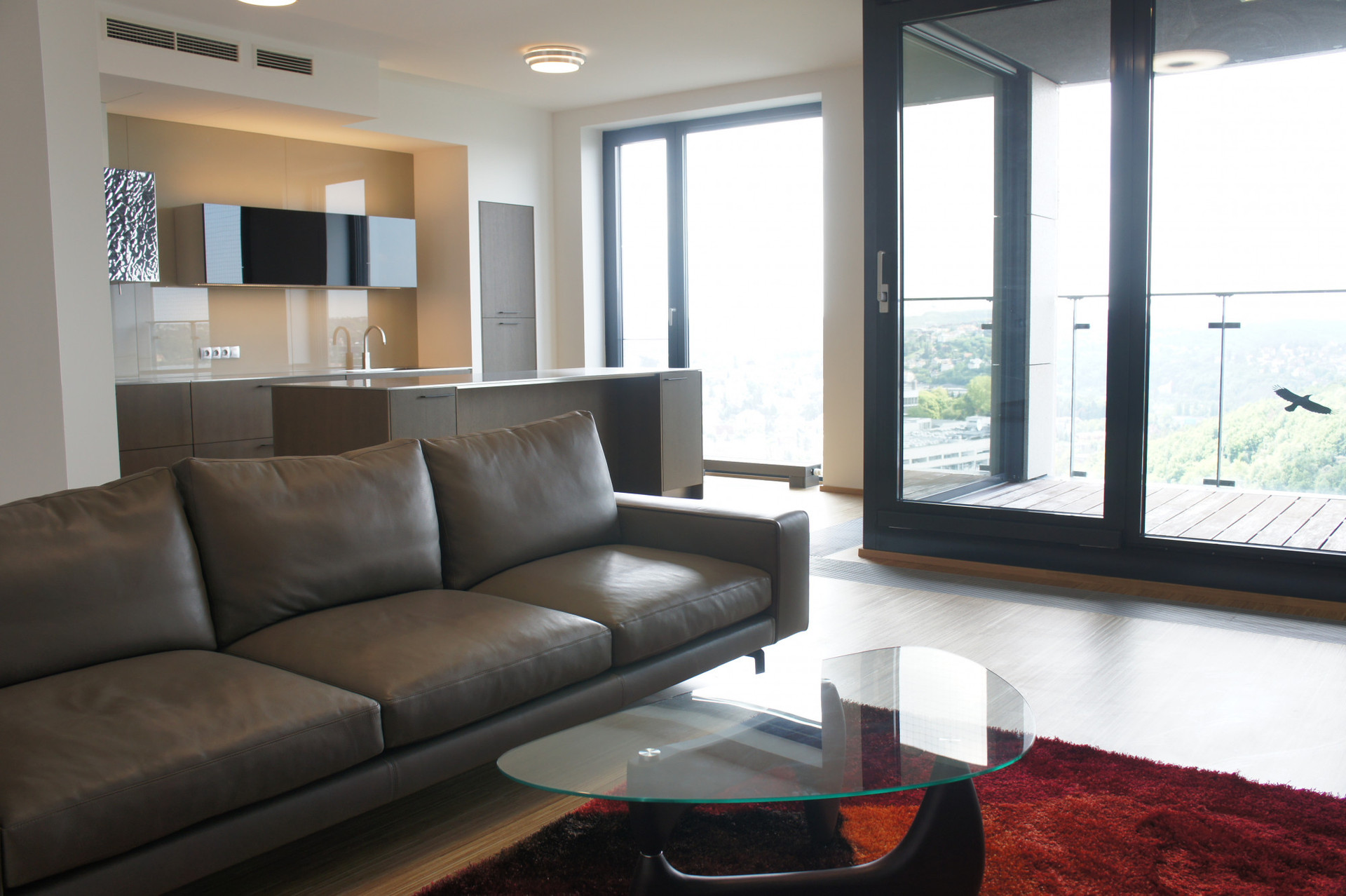 Living Room, Balcony, Kitchen