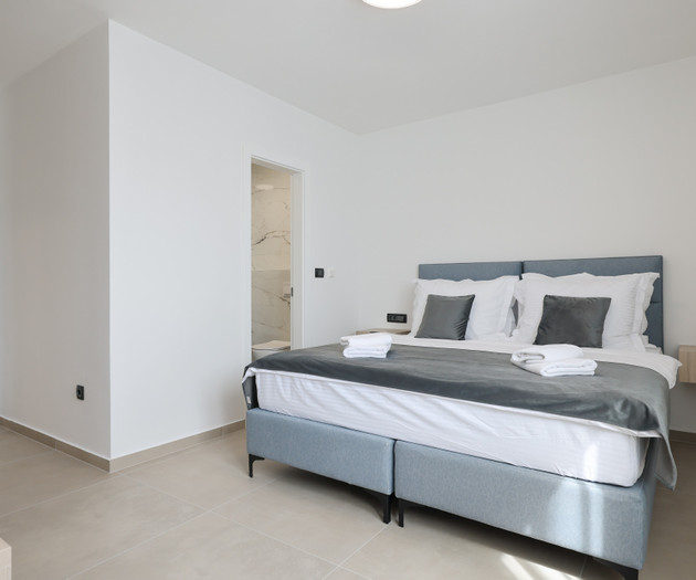 Deluxe apartment VIII