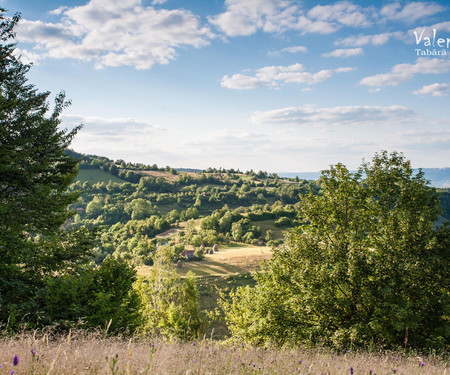 Transylvanian Cottage with Private Swimming Pool