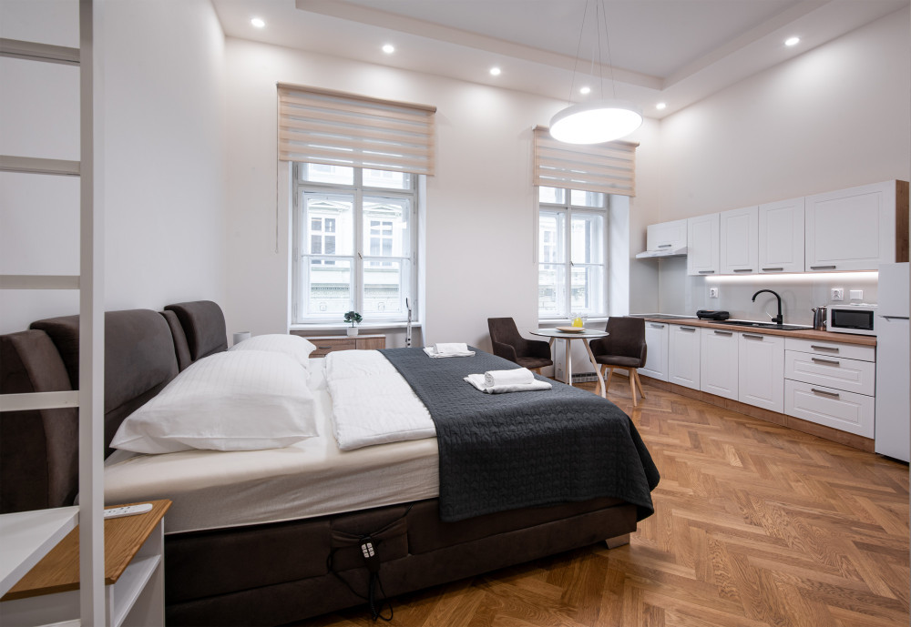 Comfy apartment in the centre of Prague preview