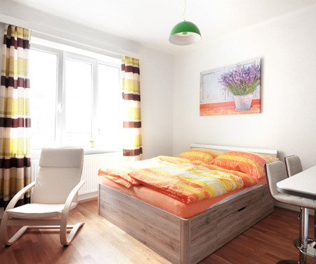 One-bedroom apartment, Fitness, terrace, Prague 10