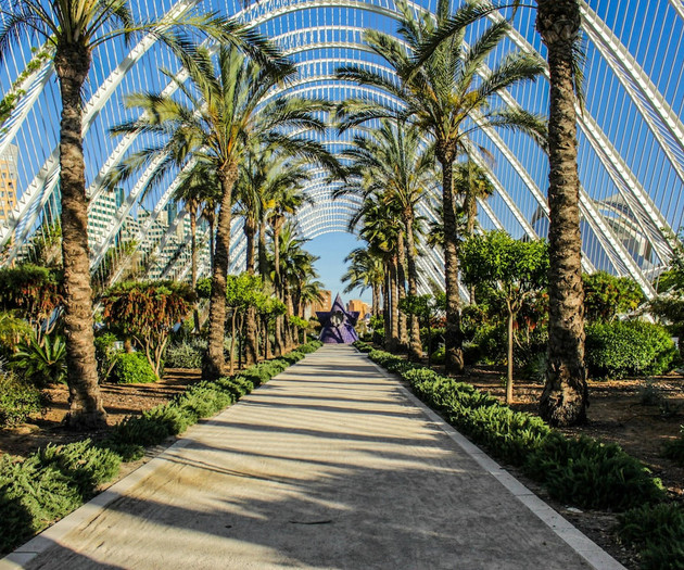 Travel Habitat Terrace Parque de Cabecera 4