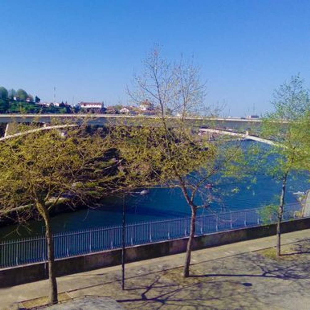 City center Apartment with Stunning Douro View preview