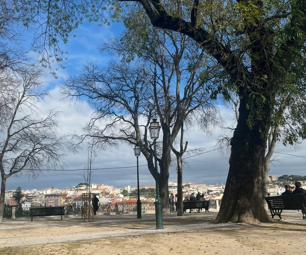 High-Quality Scenic Apartment in the Heart of Lisb