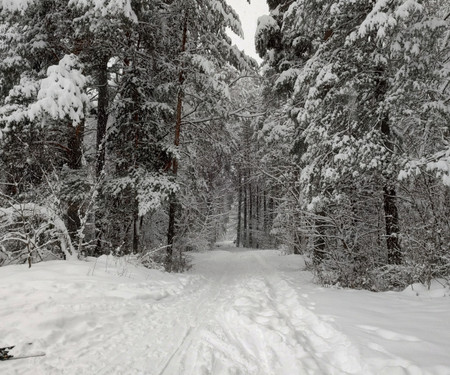 Mountain Delight, Bansko