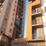 Landlords photo