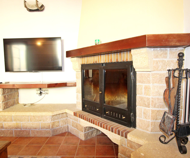 Living room fireplace and TV