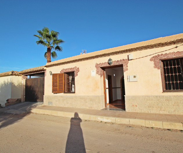House entrance with palm tree