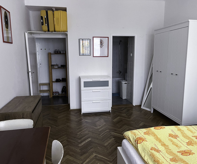 Cozy 1+1 apartment Vinohrady