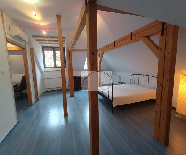 Elegant Duplex in Villa • Central Bucharest