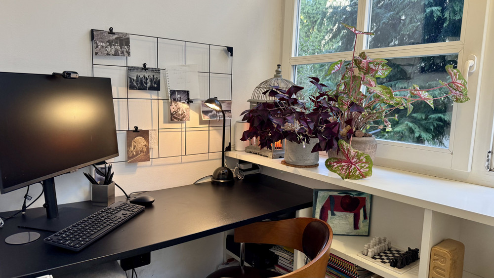 Professional Home Office • Quiet Downtown Zagreb preview