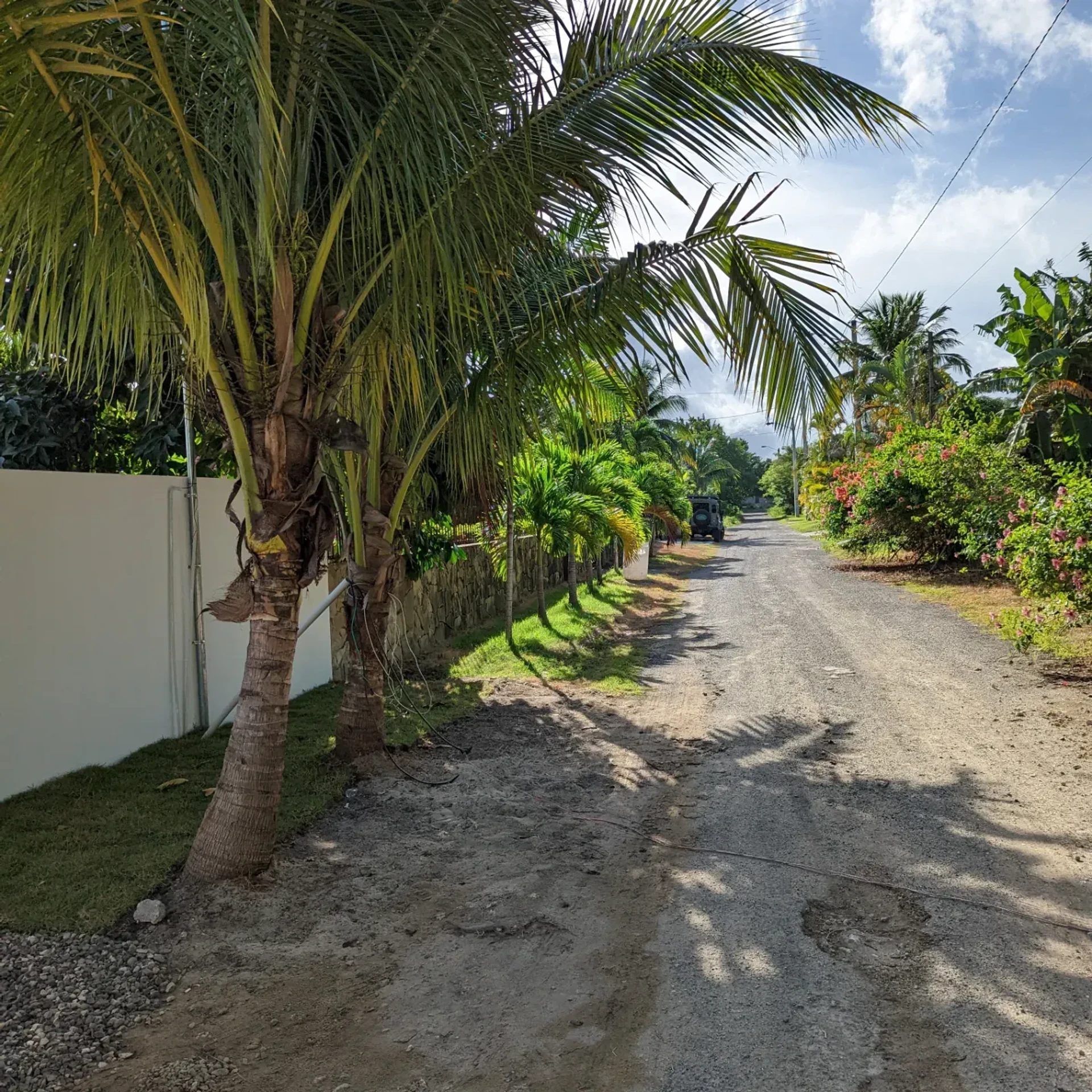 Entrance Road